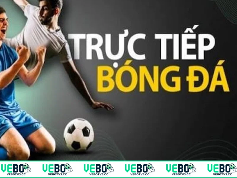 Tìm hiểu thông tin link xem bóng đá VeboTV hàng đầu thị trường