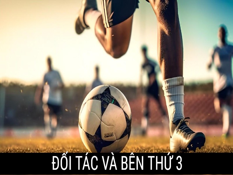 Chính sách miễn trừ đối với các bên thứ 3 và đối tác của đơn vị