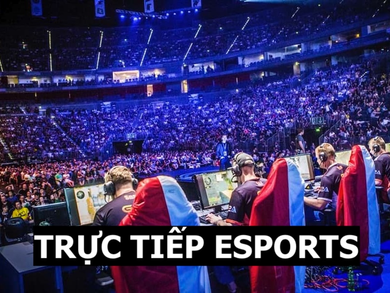 Trực tiếp Esports với chất lượng vượt trội tại VeboTV