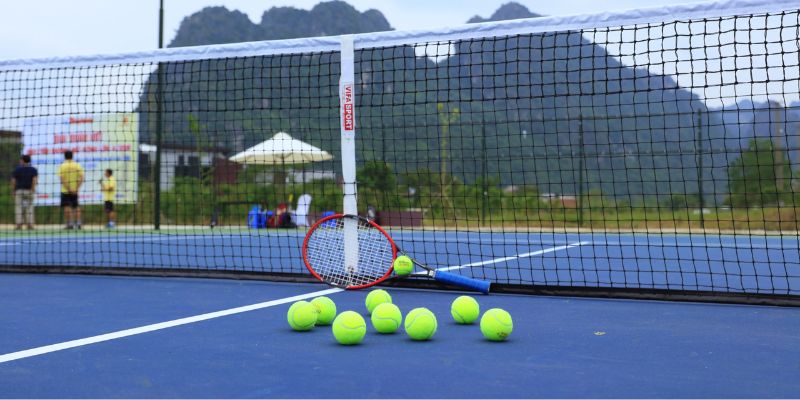 Vì sao bạn nên theo dõi trực tiếp Tennis tại VeboTV